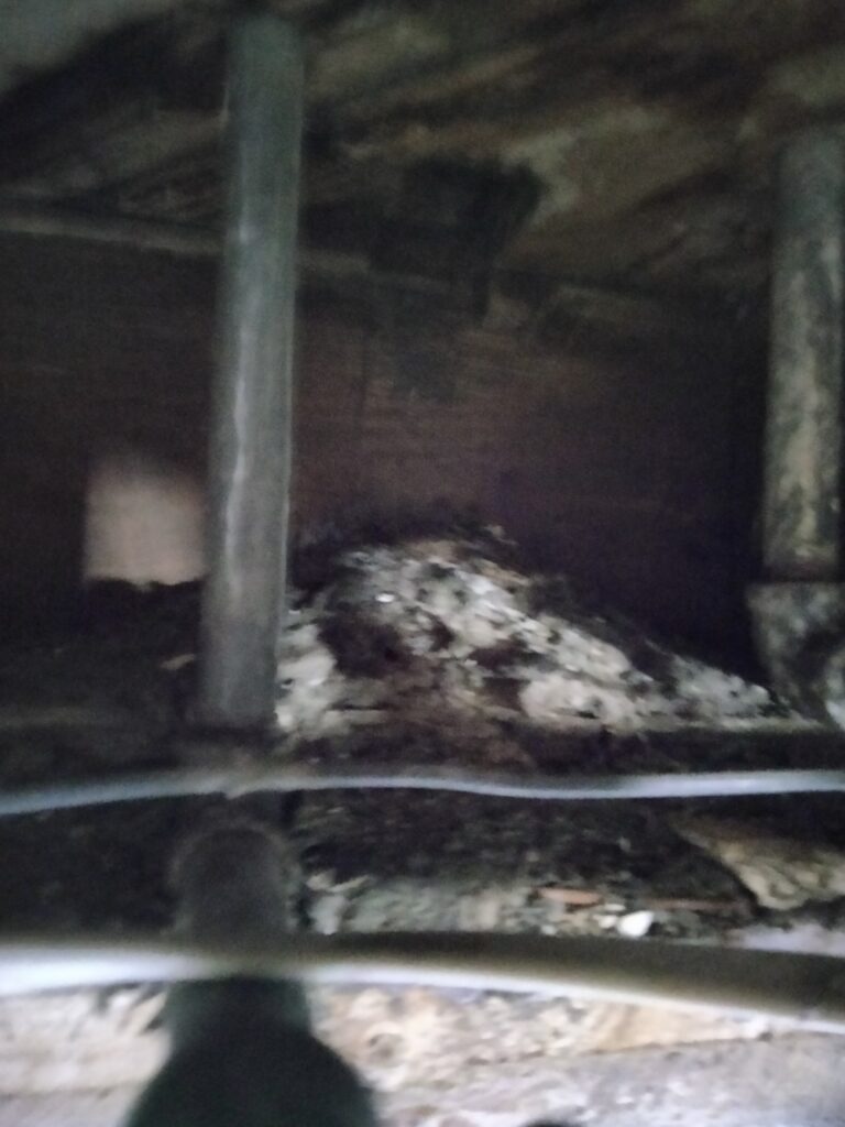 galvanized pipes